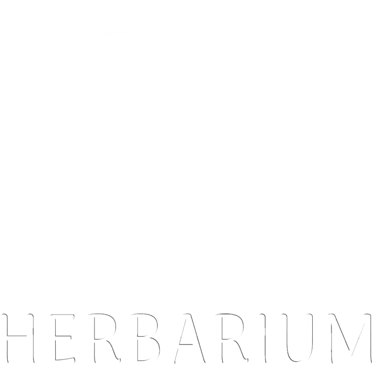 Bieszczadzkie Herbarium, produkty zdrowa żywność, produkty żywność funkcjonalna, Monika Bulik